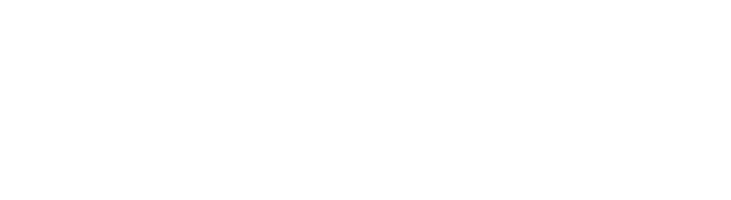 websitelogo